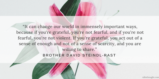 Br David Steindl-Rast Quote (1)